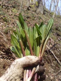 ふっふっ！（にかっ！）