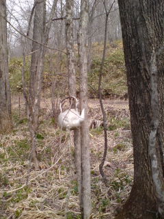 山の給水所！？
