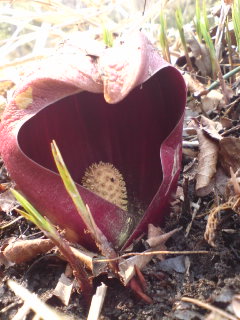 自分と向き合うために！