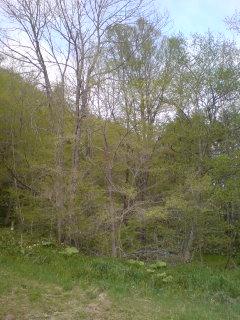 遅い出勤です！