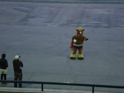 馬も踊りだすような！