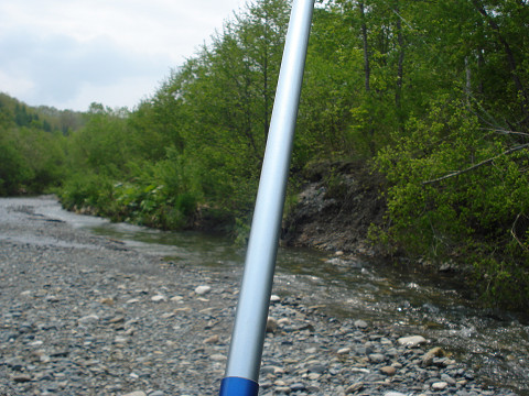 釣り糸をたらしてみました♪