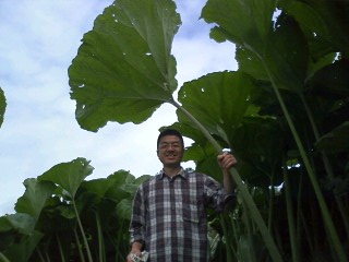 コロポックルになって来ました！