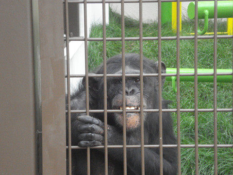 兄弟に会いに！