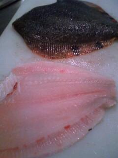 本日のおすすめ！