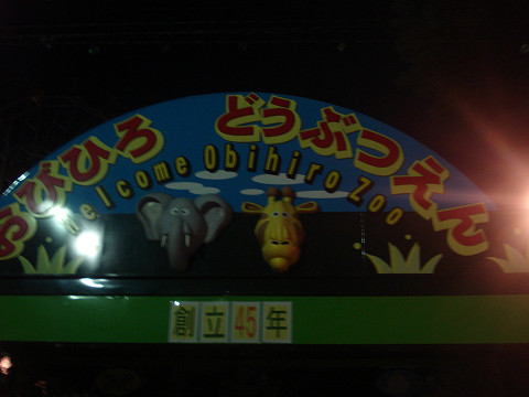夜の動物園！