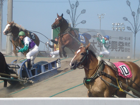 ばんえい競馬！
