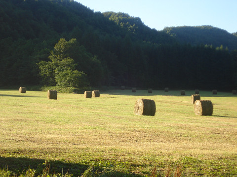 ある朝の十勝の風景！