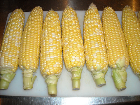 わかりますか？