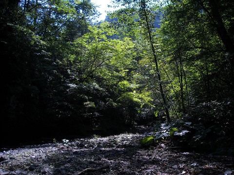 いい天気でしたね！