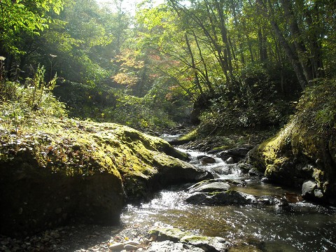 やっぱり、山は最高！