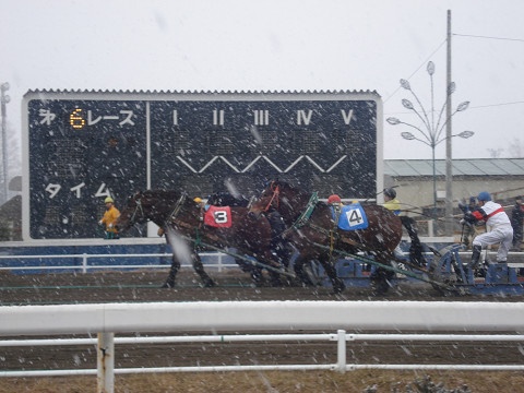 雪に願うこと♪