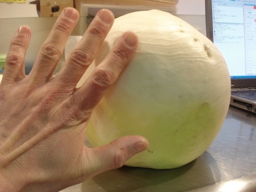 内地の方から！