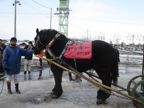 誕生日だったんですよ～（笑）