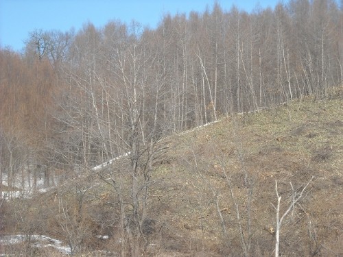 山肌が見えると！