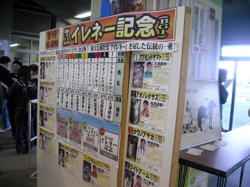 やっぱり、ばんえいは面白い！