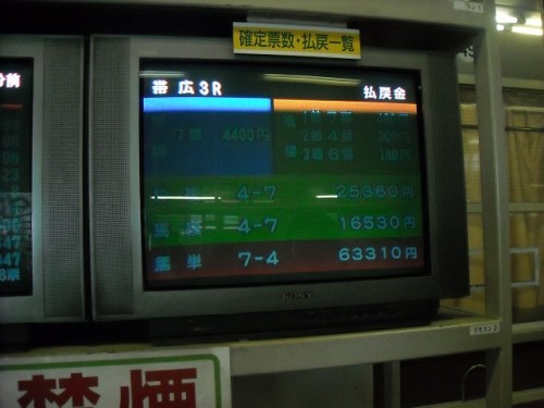 今日は荒れ模様です！