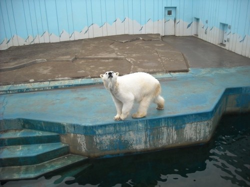 ツヨシとクルミ♪