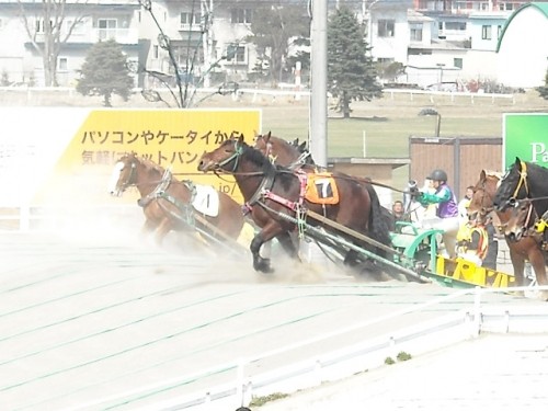 未来のスター目指せ！
