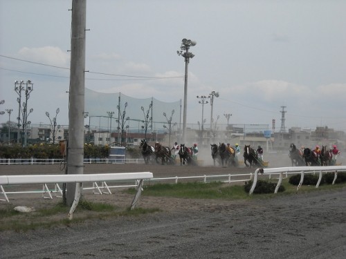 開幕しましたよ！