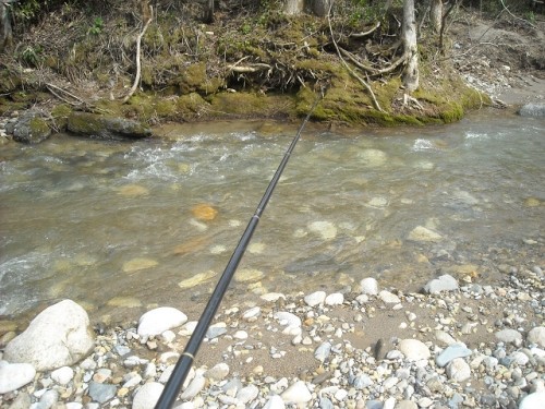 ゴールデンウィークいかがお過ごしですか？