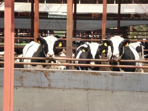 天気が良くて！