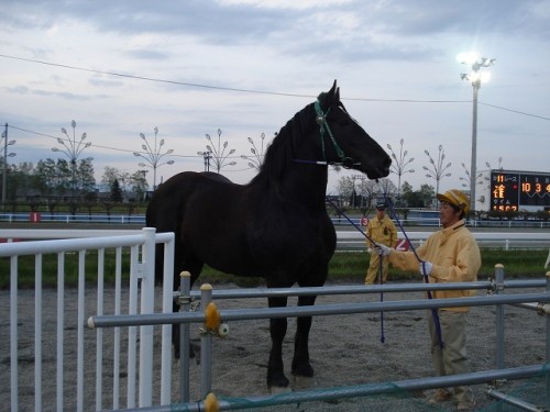 やっぱり、ばんば！