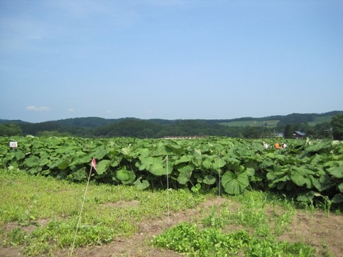 足寄であしからず！