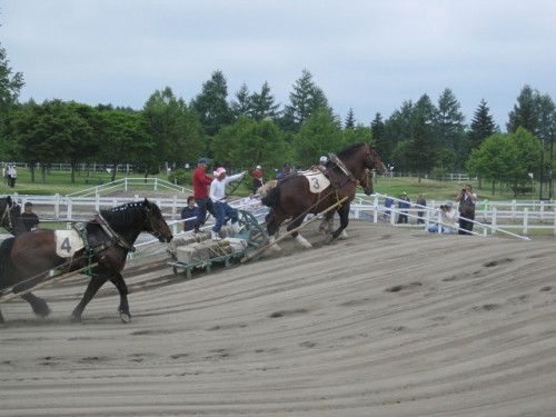 ばんばの原点？を見た！