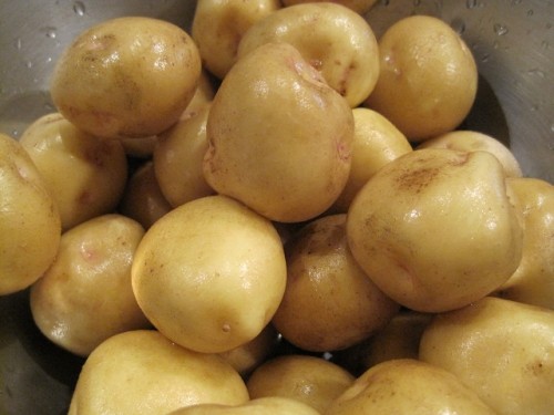 やっと十勝っぽくなって来ましたね！