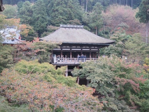 なんとか帰ってこれました！