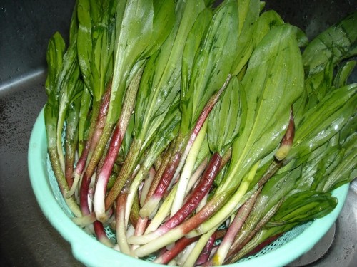 準備が整いました！