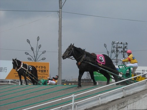 始まりましたね♪