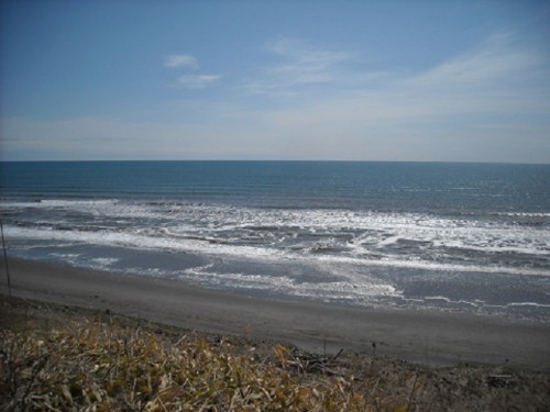 海は広いな大きな～