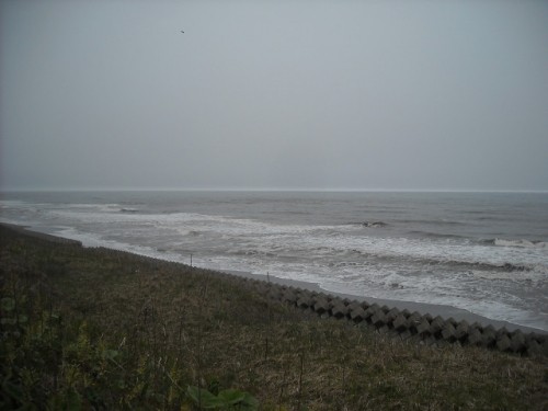 誰もいない海！