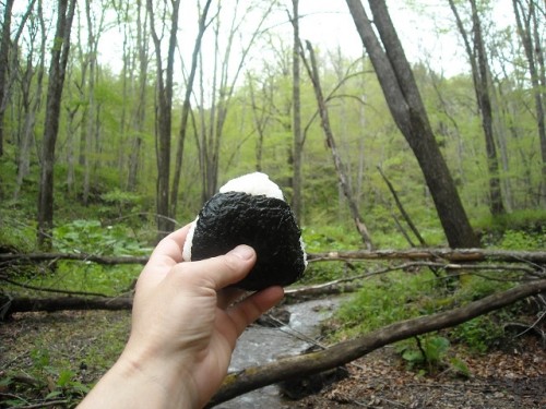 なんとなく晴れたので！