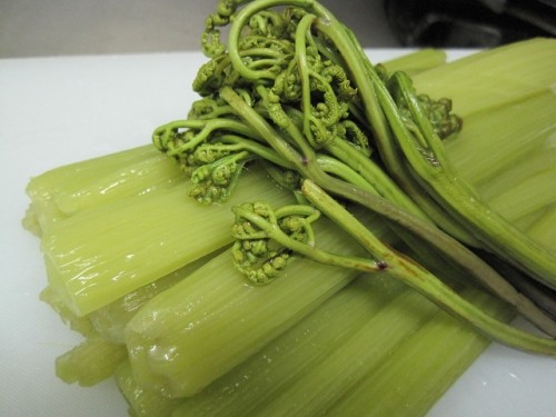 今日のお通し♪