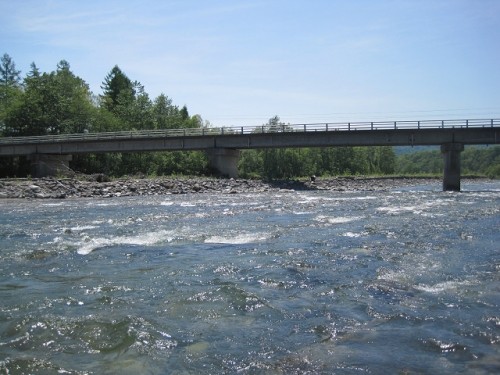 一攫千金、夢見て！