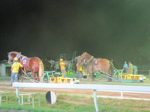 あってもナイター