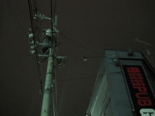 七夕の夜なのに