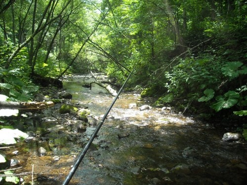 聞き飽きたとおもいますが、