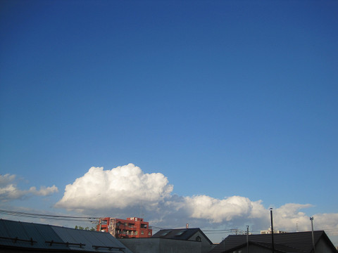 女心と秋の空と