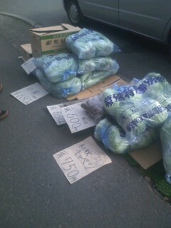 そろそろ、あれが?