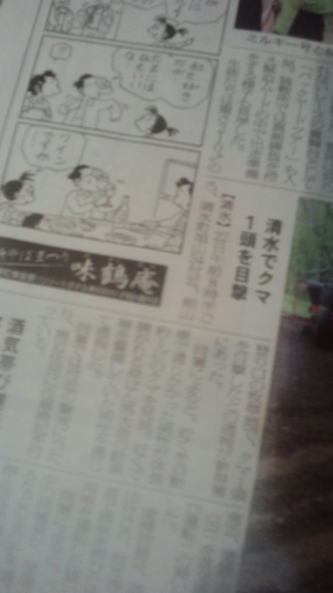 熊に会ったらどうしますか?