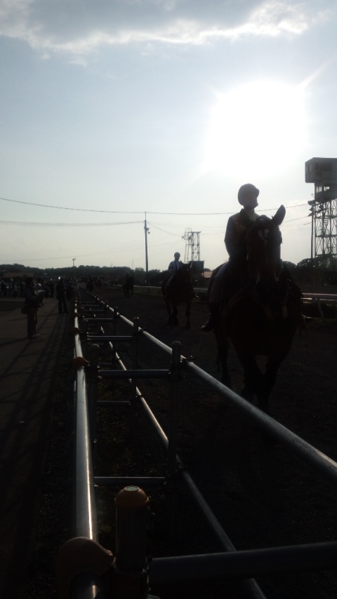 夕日のガンマン&蕎麦