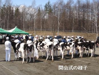 「雨の共進会」が春を呼ぶ