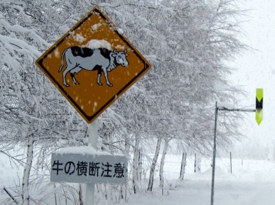 ゴールデンウィーク休んじゃっていいの?