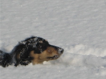 雪遊び