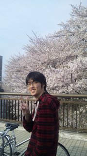 桜が満開だよ~
