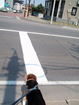 今日は、暑いですね。
